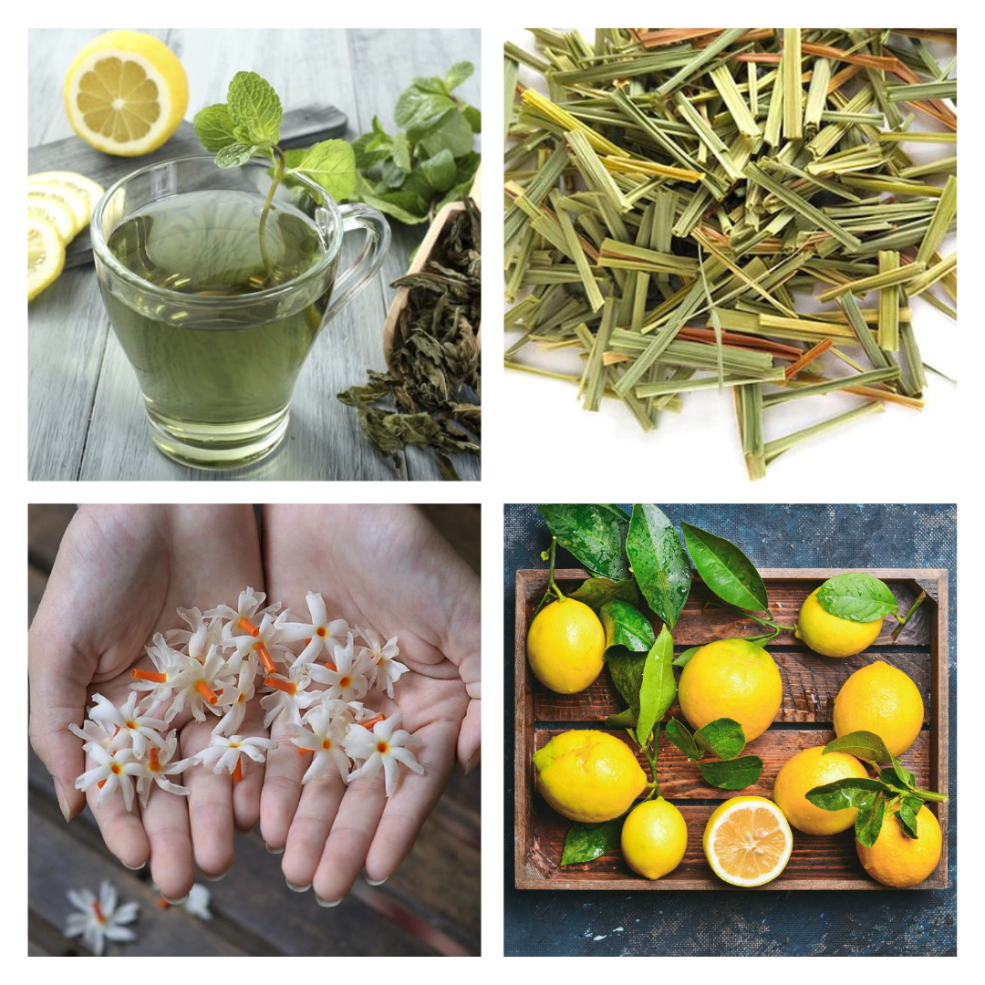 Green Tea Lemongrass | The Farmhouse Collection